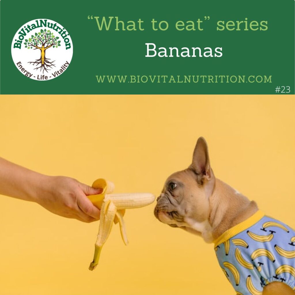 what-to-eat-series-bananas-23-biovitalnutrition